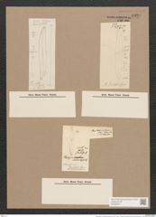 Pleurosigma var. brebissonii emtpy (de-Toni-Nr.: Genus 13, Species 1063) Zeichnungen Sammlung Grunow Nr. 1920 (NHMW-BOT-W0369047)